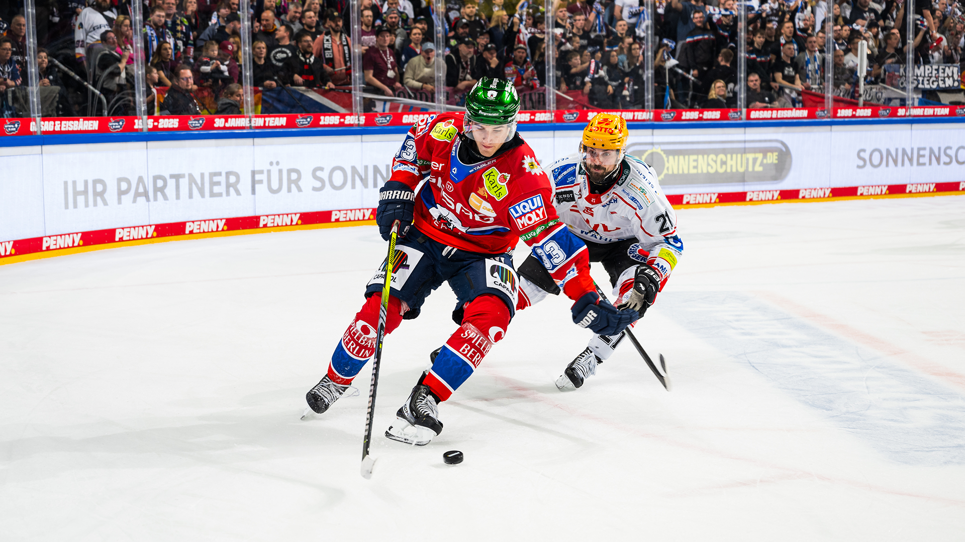 Eisbären Berlin gg. Pinguins Bremerhaven